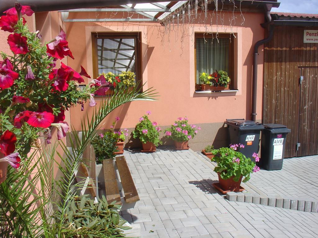 Wellness Penzion Palice Jindřichův Hradec Exterior foto